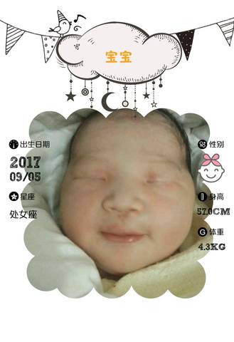 journal_insert_pic_832478224