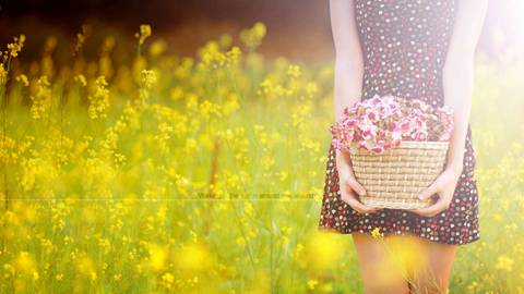 journal_insert_pic_832116128