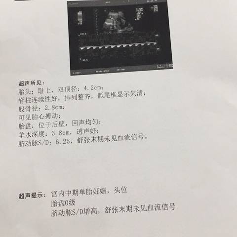 journal_insert_pic_833154482