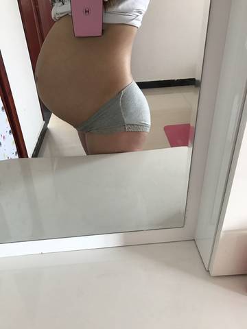 journal_insert_pic_833585074