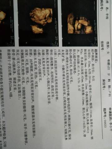 journal_insert_pic_833994264
