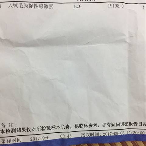 journal_insert_pic_834042320