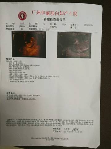 journal_insert_pic_833632560