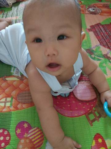 journal_insert_pic_833660175