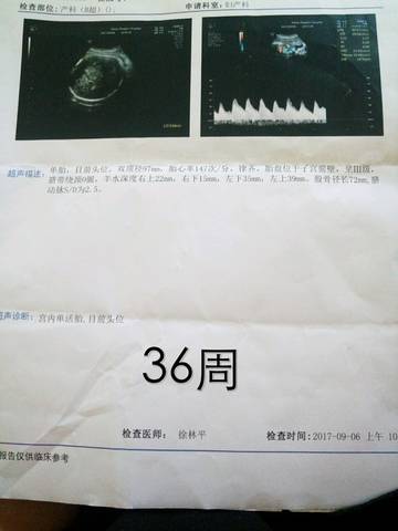 journal_insert_pic_834472165