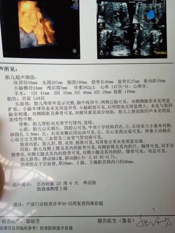 journal_insert_pic_834485348