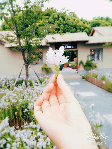 journal_insert_pic_834223134