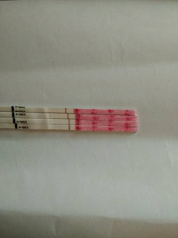 journal_insert_pic_834305598