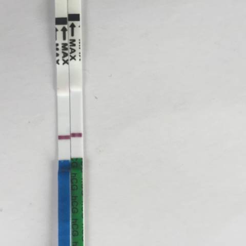 journal_insert_pic_835028253