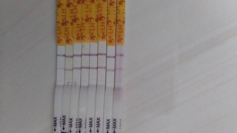 journal_insert_pic_835880618