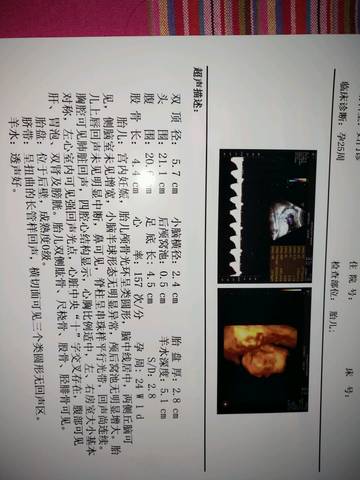 journal_insert_pic_837594500