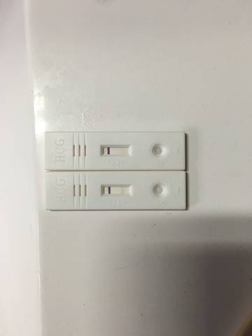 journal_insert_pic_837598253