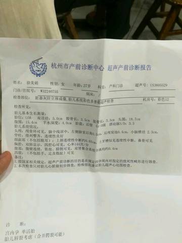 journal_insert_pic_837410031