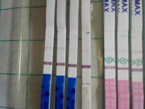 journal_insert_pic_837529894
