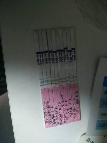 journal_insert_pic_838972231