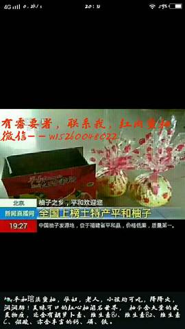 journal_insert_pic_838961381