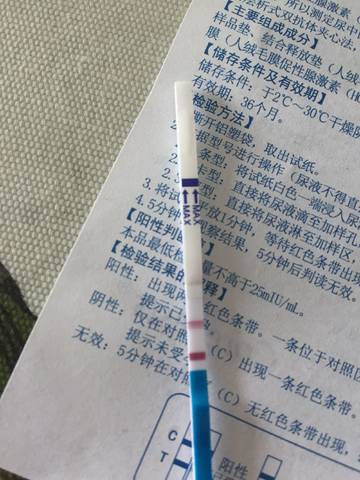journal_insert_pic_838505535