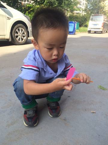 journal_insert_pic_838654415