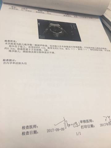 journal_insert_pic_839249173