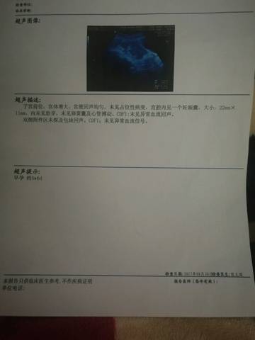 journal_insert_pic_839230731