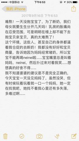 journal_insert_pic_840230351