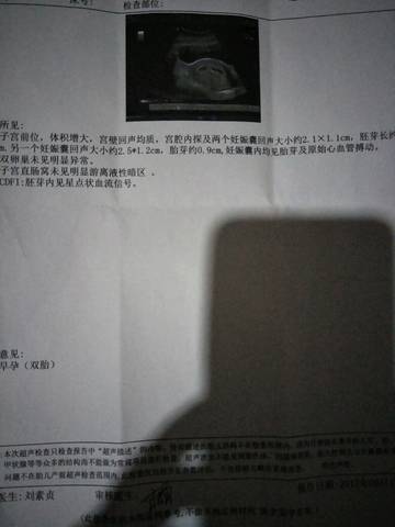 journal_insert_pic_840284418