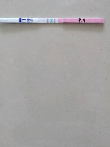journal_insert_pic_841488125