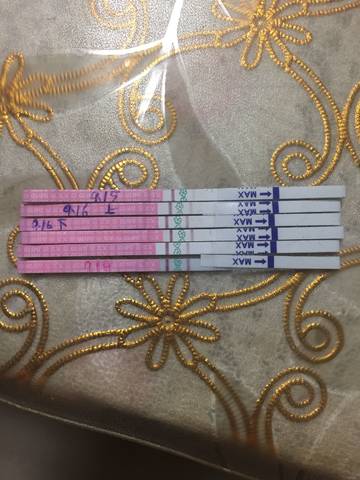 journal_insert_pic_841840544