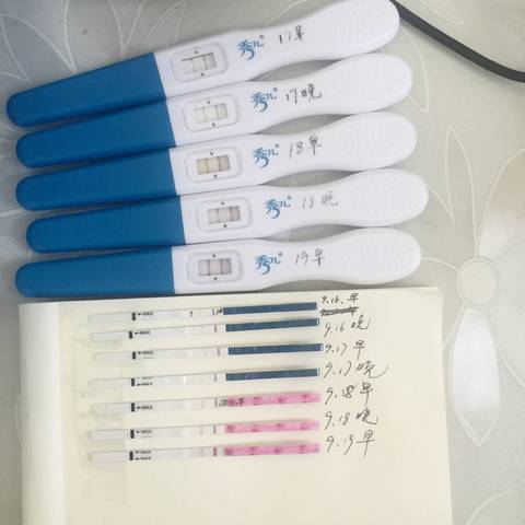 journal_insert_pic_842111419