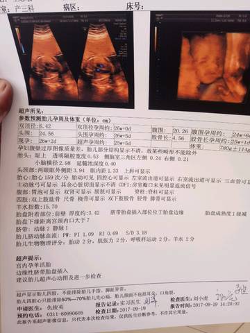 journal_insert_pic_842357214