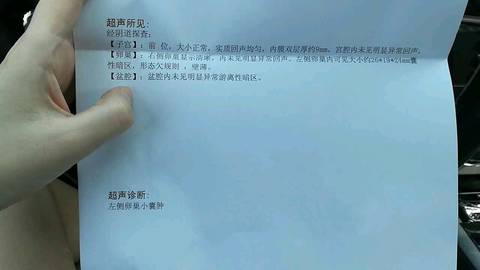 journal_insert_pic_842354619