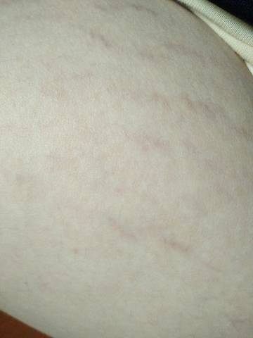 journal_insert_pic_843834477