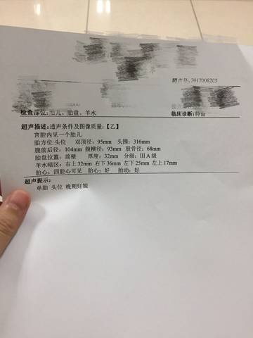 journal_insert_pic_843657156