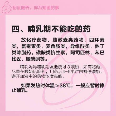 journal_insert_pic_844596873