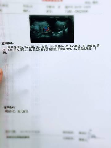 journal_insert_pic_844499273