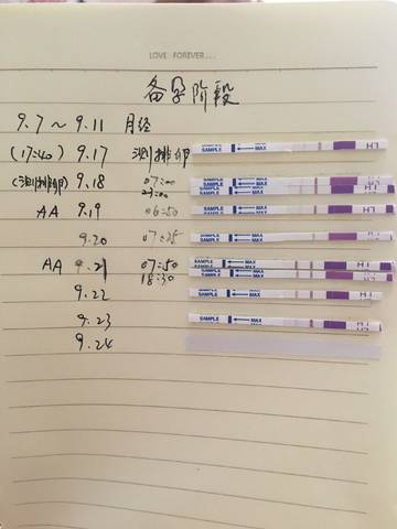 journal_insert_pic_844970653