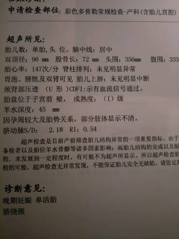 journal_insert_pic_845926311