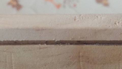 journal_insert_pic_846904845