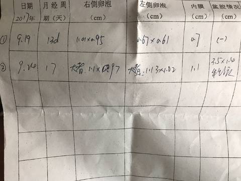 journal_insert_pic_846830431