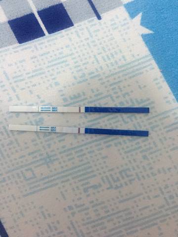 journal_insert_pic_847338756