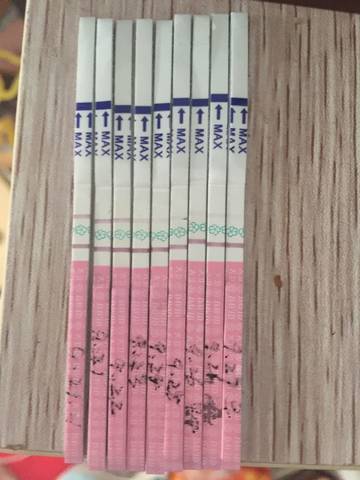 journal_insert_pic_848373706