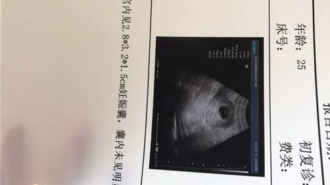 journal_insert_pic_848221887
