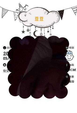 journal_insert_pic_848788446