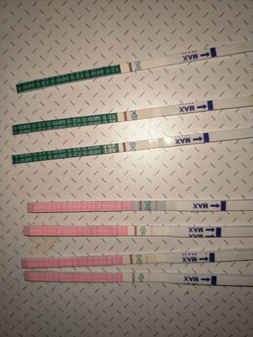 journal_insert_pic_849968155