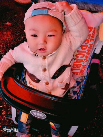 journal_insert_pic_849810393