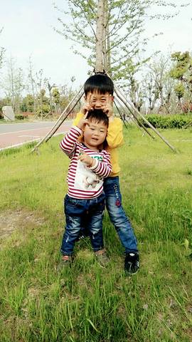 journal_insert_pic_849948018