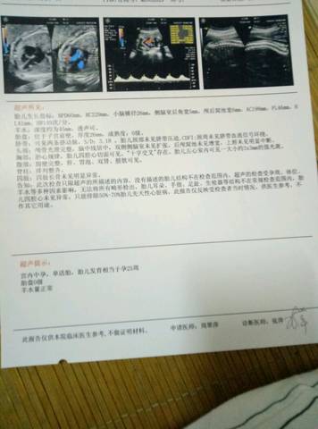 journal_insert_pic_849878844
