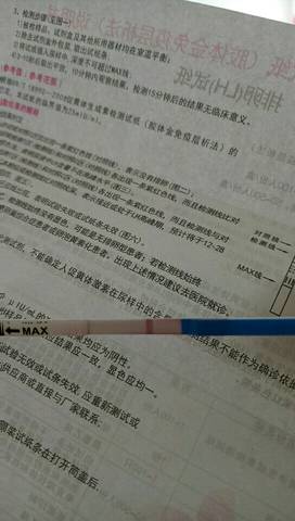 journal_insert_pic_850535603