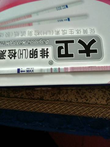 journal_insert_pic_850297492