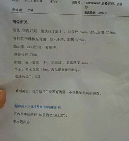 journal_insert_pic_850279824